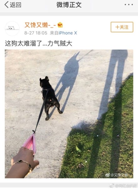 ayawawa被禁言后在干嘛?ayawa(ayawawa再陷争议) ayawawa被禁言后在干嘛?ayawa(ayawawa再陷争议)