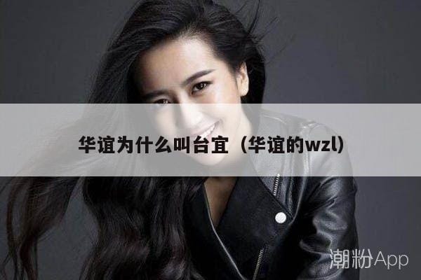 华谊为什么叫台宜(华谊的wzl) 华谊为什么叫台宜(华谊的wzl)