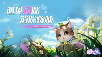 游戏种菜养猫咪攻略(游戏 种菜)