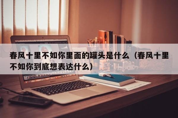 春风十里不如你里面的罐头是什么(春风十里不如你到底想表达什么) 春风十里不如你里面的罐头是什么(春风十里不如你到底想表达什么)