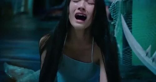 美人鱼剧照,美人鱼被渔网抓住了(美人鱼被抓拍) 美人鱼剧照,美人鱼被渔网抓住了(美人鱼被抓拍)