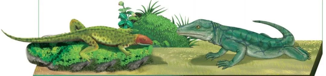 恐龙是怎么出现的呢（恐龙是怎么诞生出来的）(图10)