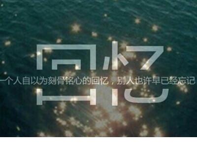 描写描写梅花的句子