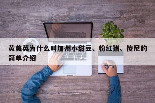 黄美英为什么叫加州小甜豆、粉红猪、傻尼的简单介绍 黄美英为什么叫加州小甜豆、粉红猪、傻尼的简单介绍