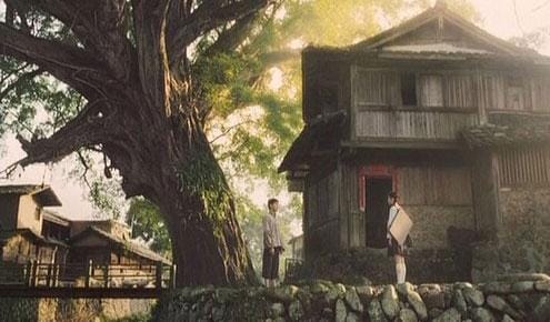 电影云水谣(电影云水谣演员表)