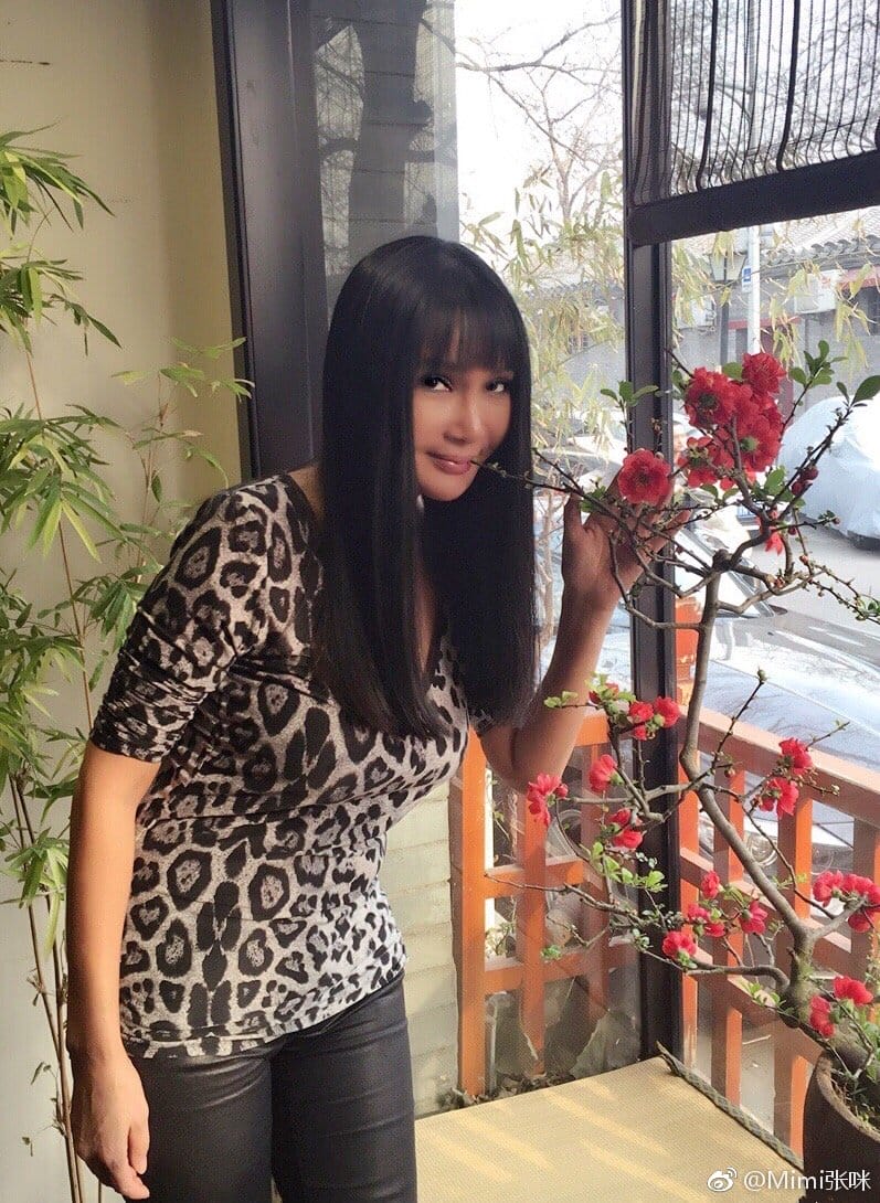 张咪为什么长的像混血皮肤黑黑的 张咪为什么长的像混血皮肤黑黑的