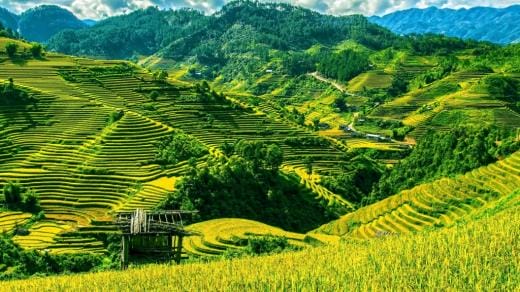 回复骗子的经典短信