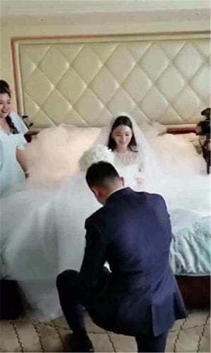何捷张馨予结婚照，张馨予婚礼图片,本文共（4908字）