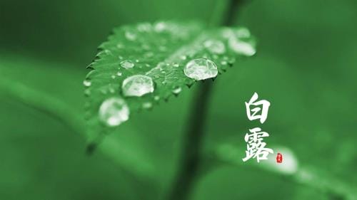 八月十五中秋节搞笑说说