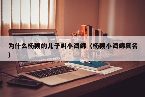 为什么杨颖的儿子叫小海绵(杨颖小海绵真名) 为什么杨颖的儿子叫小海绵(杨颖小海绵真名)