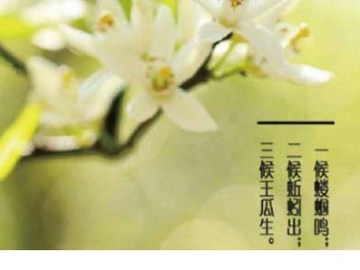 鄙视一个人的句子