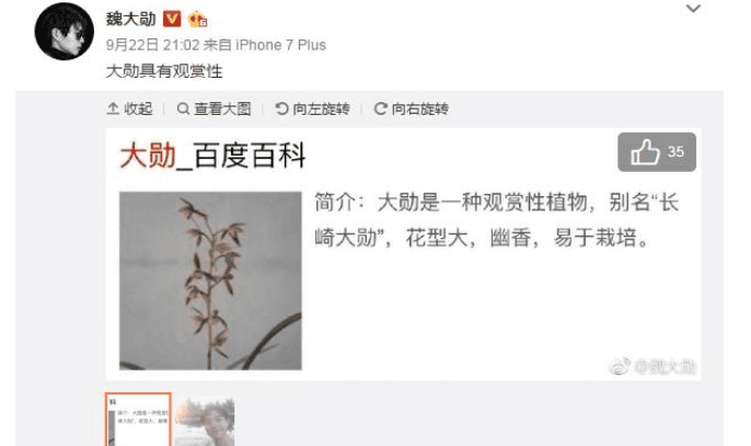 魏大勋为什么叫大勋花?魏大勋在明星大侦探3里唱的什么歌 本文共(1096字) 魏大勋为什么叫大勋花?魏大勋在明星大侦探3里唱的什么歌 本文共(1096字)