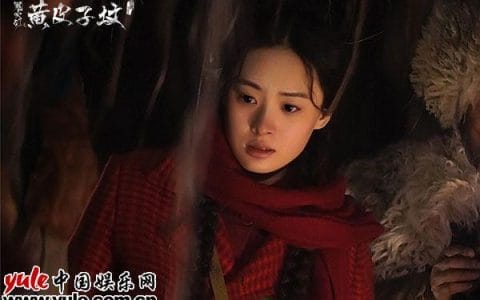 丁思甜(丁思甜是谁)