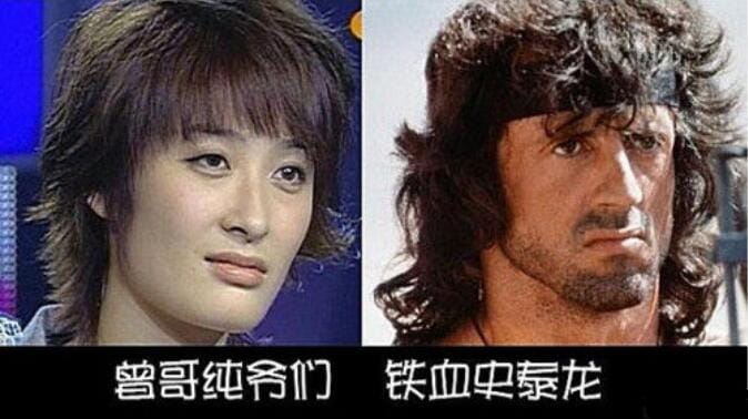 曾轶可为什么叫史泰龙(曾轶可和史泰龙) 曾轶可为什么叫史泰龙(曾轶可和史泰龙)