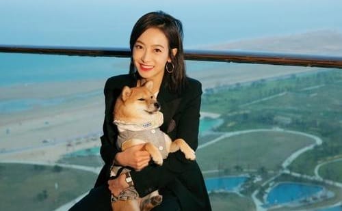 曺圭贤为什么叫草菇?曺圭贤和宋茜现在关系 曺圭贤为什么叫草菇?曺圭贤和宋茜现在关系