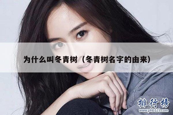 为什么叫冬青树(冬青树名字的由来) 为什么叫冬青树(冬青树名字的由来)