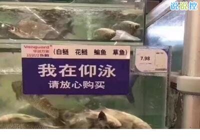 茶叶品牌商标设计