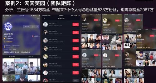 抖音播放量很高的游戏推荐(播放量最高的抖音)