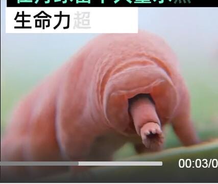 水熊虫寿命是多少年能活10万年吗,怎么可以杀死它们 本文共(1001字) 水熊虫寿命是多少年能活10万年吗,怎么可以杀死它们 本文共(1001字)