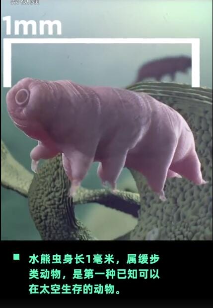 水熊虫寿命是多少年能活10万年吗,怎么可以杀死它们 本文共(1001字) 水熊虫寿命是多少年能活10万年吗,怎么可以杀死它们 本文共(1001字)