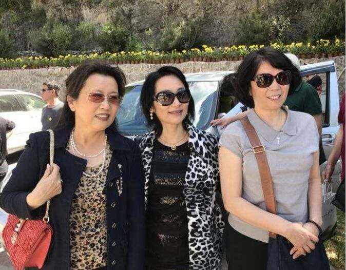 王苓华现状如何(王苓华年龄) 王苓华现状如何(王苓华年龄)