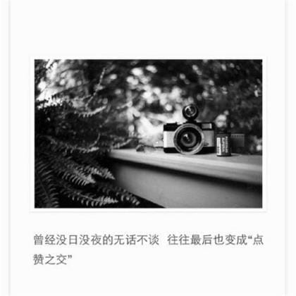 老公生日祝福语八个字