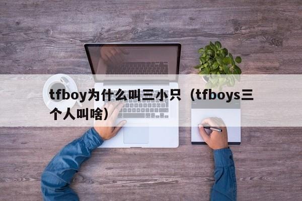 tfboy为什么叫三小只(tfboys三个人叫啥) tfboy为什么叫三小只(tfboys三个人叫啥)