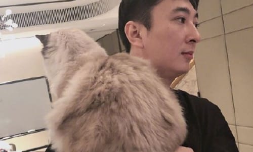 王思聪开撕网红孙一宁杀猪(到底有多爱?曝王思聪与互撕网红孙一宁签约) 王思聪开撕网红孙一宁杀猪(到底有多爱?曝王思聪与互撕网红孙一宁签约)