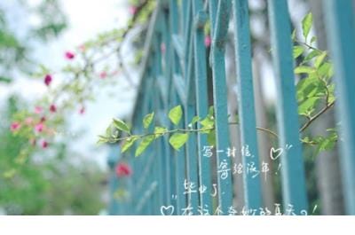 励志语录经典短句