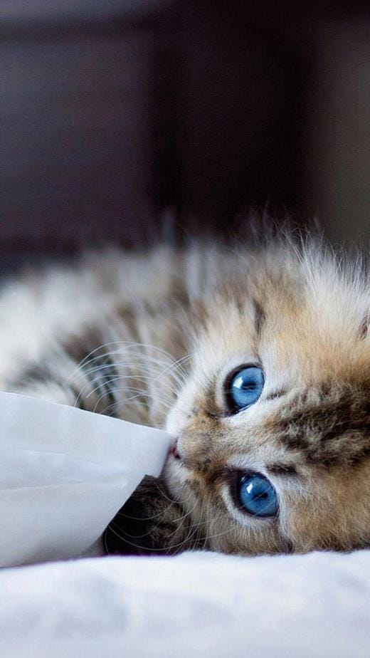 霸道个性签名对偶