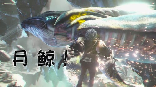 电脑荒岛求生游戏攻略(电脑游戏荒岛求生怎么玩)