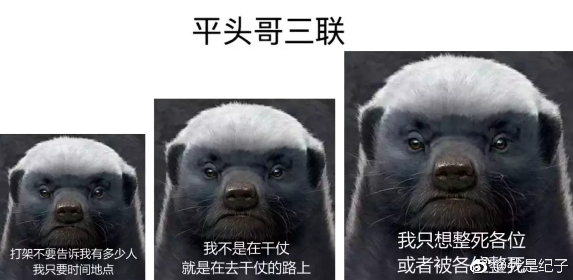 中国哪家动物园有蜜獾?蜜獾把自己搞濒临灭绝成频危动物了吗 本文共(1114字) 中国哪家动物园有蜜獾?蜜獾把自己搞濒临灭绝成频危动物了吗 本文共(1114字)