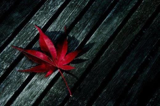中秋节祝福短信送长辈