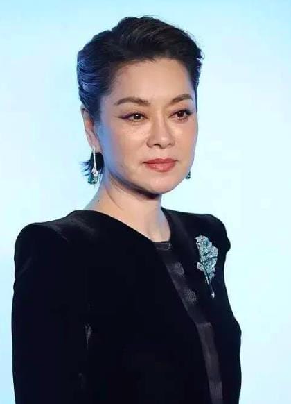 毛阿敏简介个人简历,毛阿敏哪里人,本文共(4524字) 毛阿敏简介个人简历,毛阿敏哪里人,本文共(4524字)