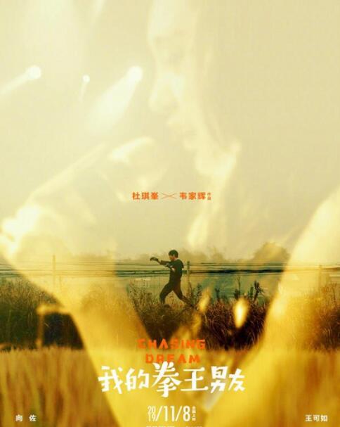 王可如向佐怎么认识的(王可如与向太) 王可如向佐怎么认识的(王可如与向太)