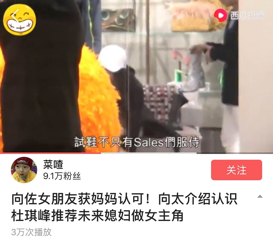 王可如向佐怎么认识的(王可如与向太) 王可如向佐怎么认识的(王可如与向太)
