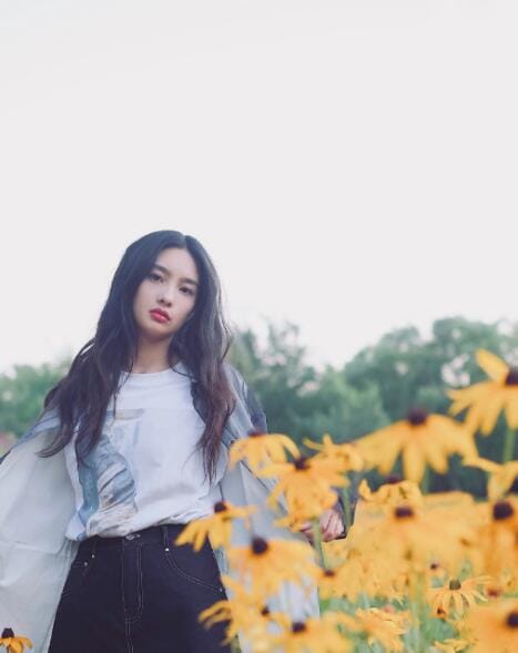 王可如向佐怎么认识的(王可如与向太) 王可如向佐怎么认识的(王可如与向太)