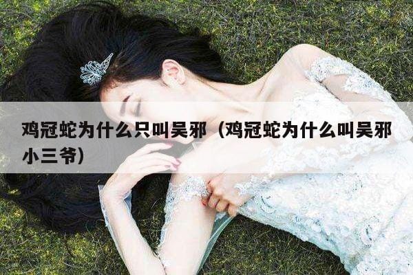 鸡冠蛇为什么只叫吴邪(鸡冠蛇为什么叫吴邪小三爷) 鸡冠蛇为什么只叫吴邪(鸡冠蛇为什么叫吴邪小三爷)