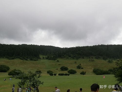 武隆仙女山攻略游戏(武隆仙女山里面有哪些景点)