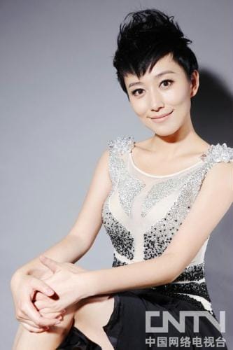 演员丁柳元,范志毅的妻子,本文共(5572字) 演员丁柳元,范志毅的妻子,本文共(5572字)
