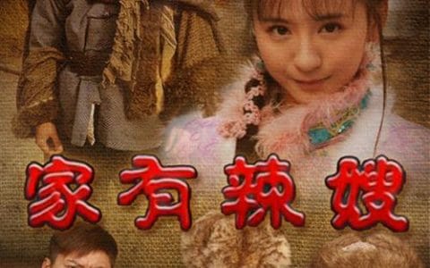 家有辣嫂 家有辣嫂
