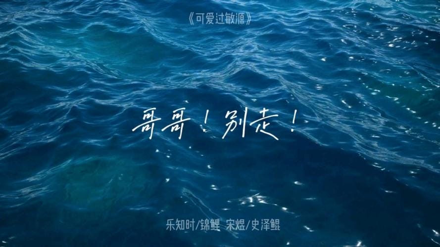 歌手鸭腩er个人资料(爆料) 歌手鸭腩er个人资料(爆料)