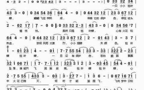 许艺娜(许艺娜偶然) 许艺娜(许艺娜偶然)