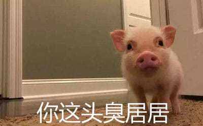 梁靖康为什么叫苍井康、康居(靖康之耻为什么叫靖康) 梁靖康为什么叫苍井康、康居(靖康之耻为什么叫靖康)