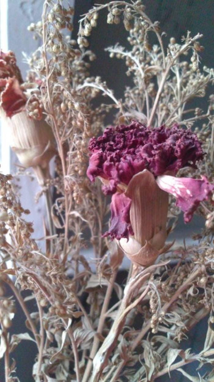 家里放干花对风水不好的原因,做干花为什么要倒挂? 本文共(732字) 家里放干花对风水不好的原因,做干花为什么要倒挂? 本文共(732字)
