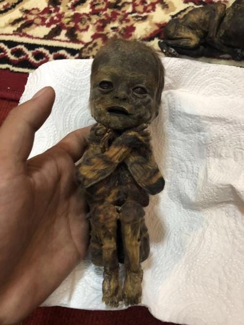 张柏芝养小鬼,好多明星在地狱(张柏芝家里有钱吗) 张柏芝养小鬼,好多明星在地狱(张柏芝家里有钱吗)