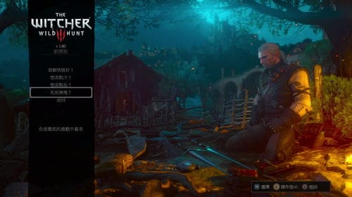witcher游戏攻略(witcher witch)
