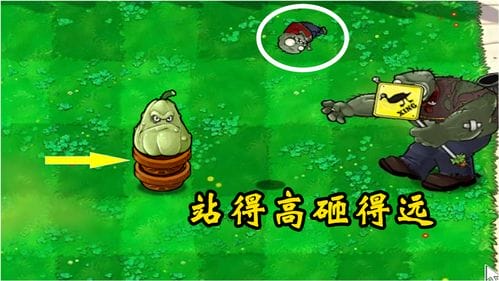 快乐养鱼小游戏攻略(开心养鱼)