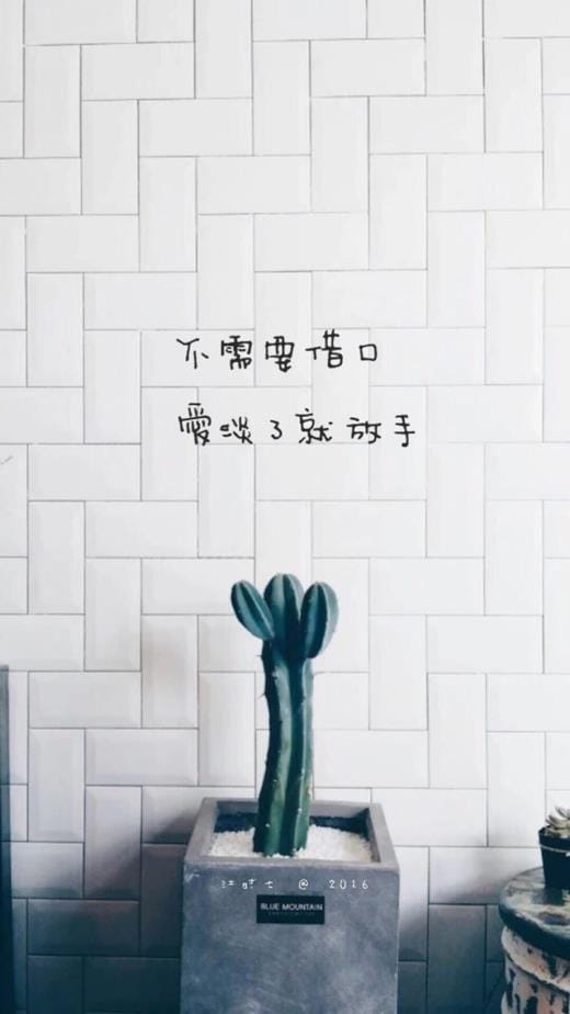 弟弟生日祝福语说说