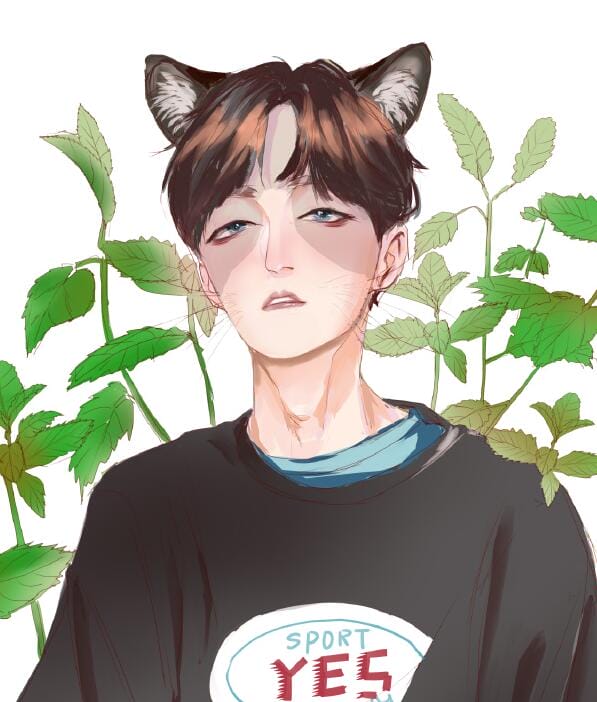 猫薄荷对猫有什么作用,人吃了猫薄荷会怎样? 本文共(865字) 猫薄荷对猫有什么作用,人吃了猫薄荷会怎样? 本文共(865字)